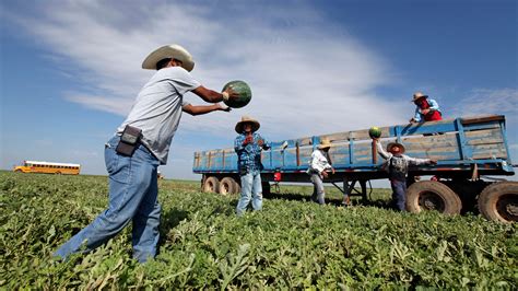 Farmers' markets and community gardens for undocumented immigrants