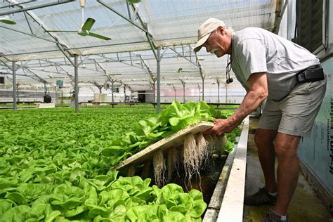 Farming in Connecticut Colony