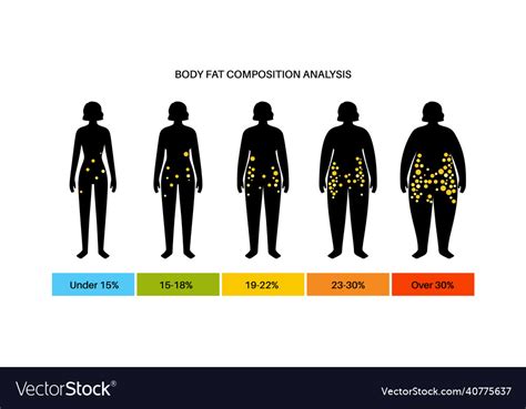 Fat Composition and Function