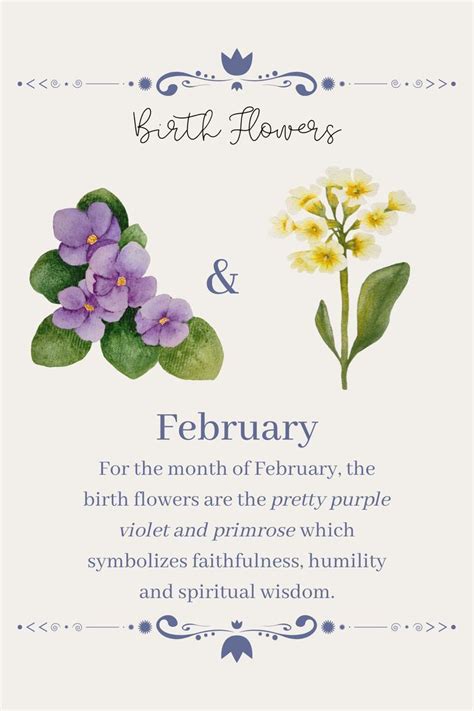 February birth flowers