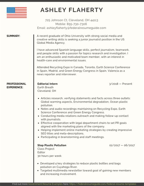 Federal Resume Template