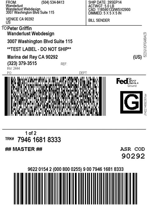 FedEx Shipping Label Example 9