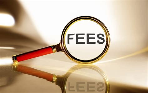 Fees and Expenses Table