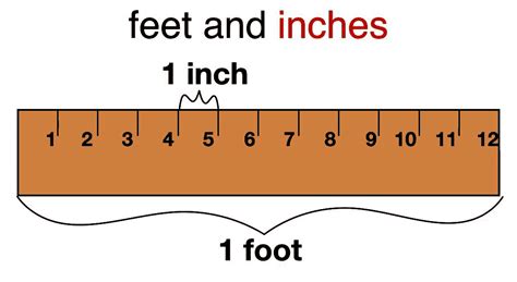 Feet and inches measurement