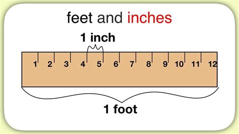 Feet and inches measurement