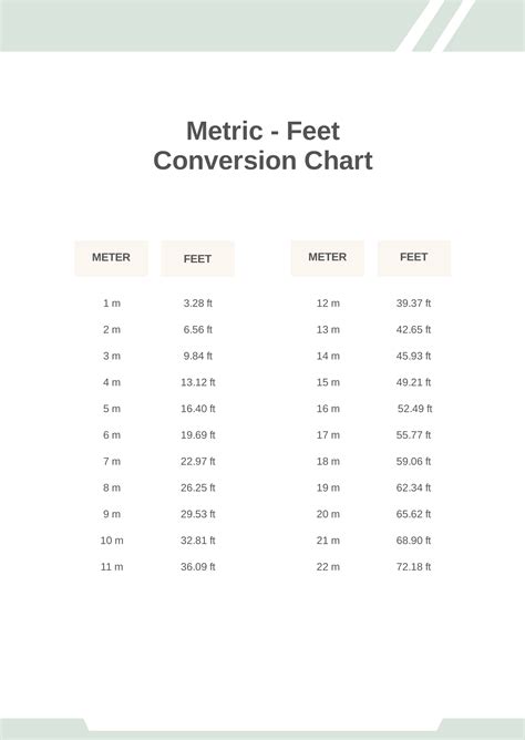 Feet to Meters Conversion Example