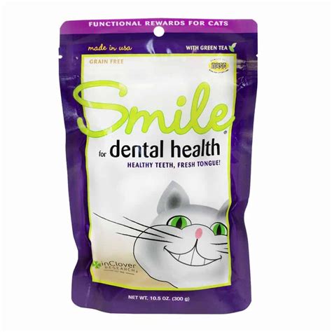 Feline dental healthy smile