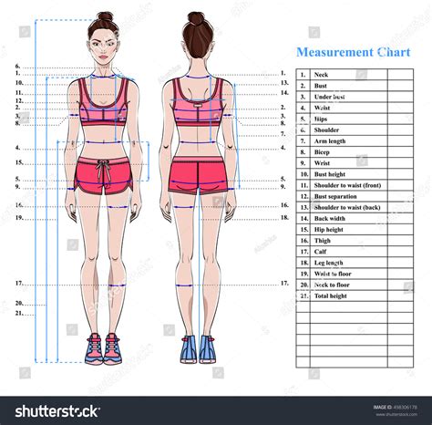 Female Body Measurements