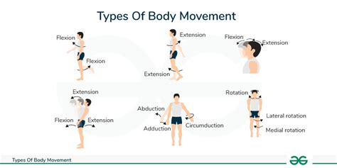 Female Body Movement