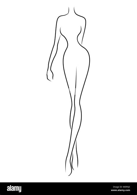 Female body outline drawing