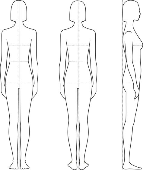 Female Body Proportions