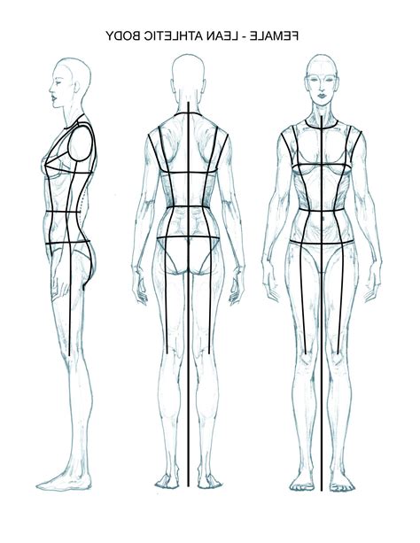 Frontal view female body template