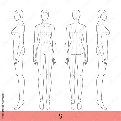 Defining the Muscles and Curves of Female Body Template