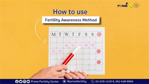 Fertility Awareness and Education