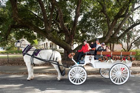 A romantic horse-drawn carriage ride through the snow-covered streets of Niagara Falls