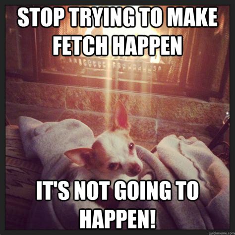 Fetch Happen Meme Image 7