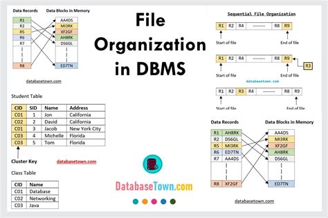 File Organization with 1 x 2 5/8 Labels