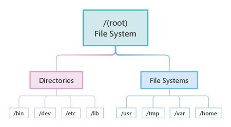 File System Organization