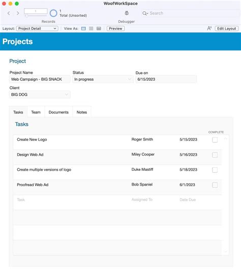 FileMaker Pro Accounting Template Sample