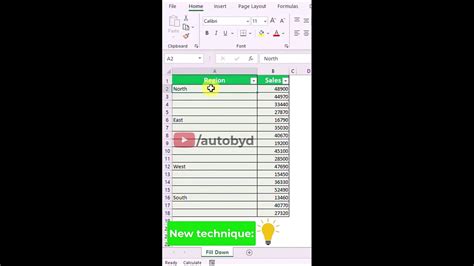 Filling blank cells with a VBA macro