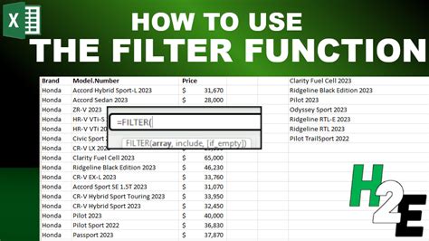 Using the filter function in Excel