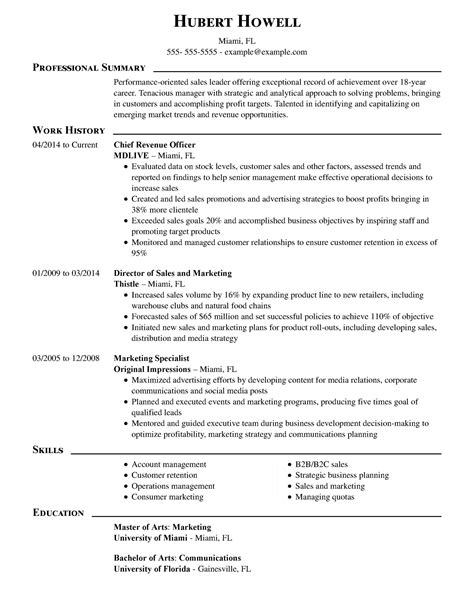 Finance Professional Resume Template Example