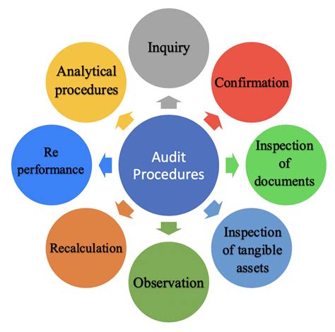 Financial Audit Procedures