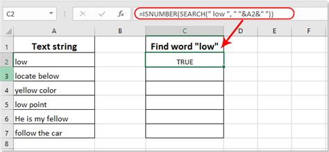 Find Exact Word in Excel