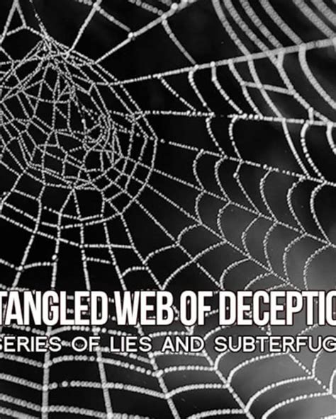 Finespun web of deceit image