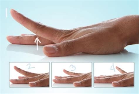 A diagram of finger exercises on the fretboard