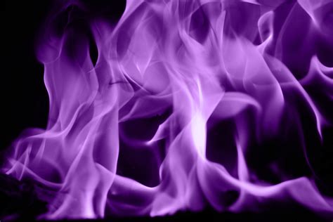 Purple Fire Colors