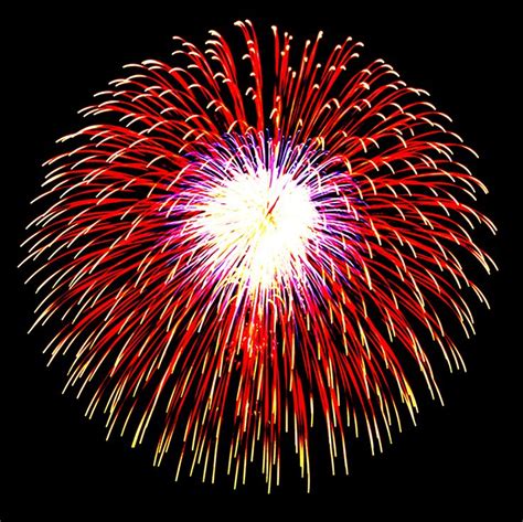 Fireworks shell exploding in the sky