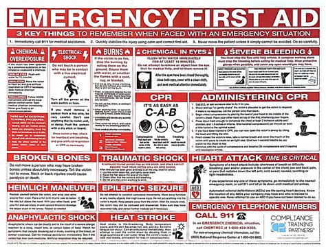 First Aid and Emergency Response