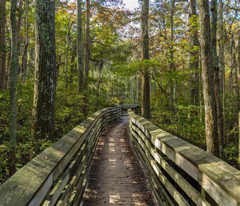 A scenic trail at the First Landing State Park