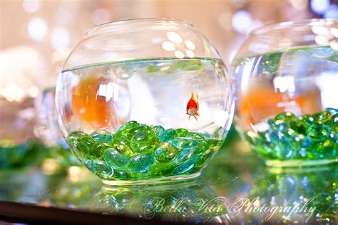 Fish Bowl Ideas