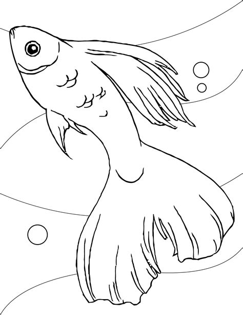 Fish Coloring Book Pages