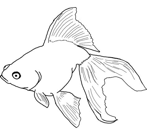 Fish Coloring Pages for Kids Printable