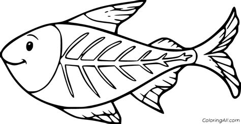 Fish X-Ray Printable