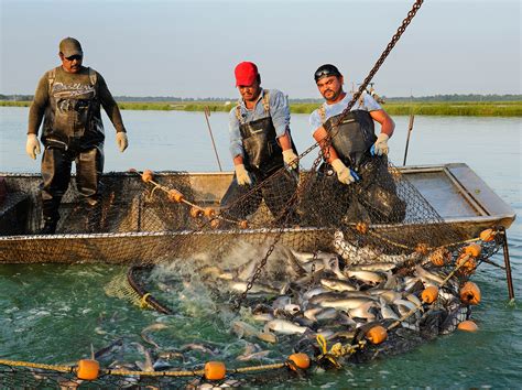 Fishing and Aquaculture