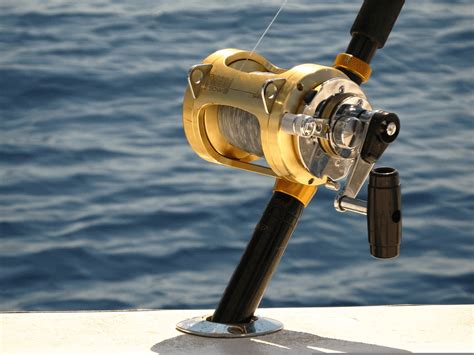 Fishing charter reels