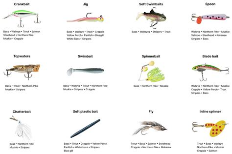 Types of fishing lures