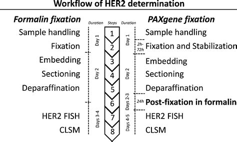 Fixation time on hypergraph