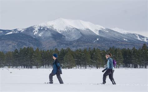 Flagstaff Snowshoeing