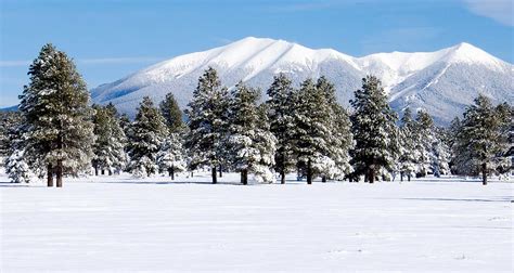 Flagstaff Winter Transportation and Parking