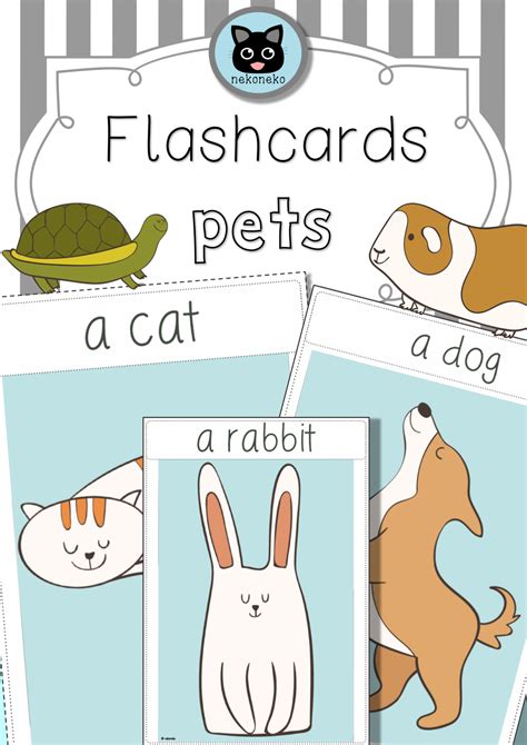 Using Flashcards for ASVAB Word Knowledge