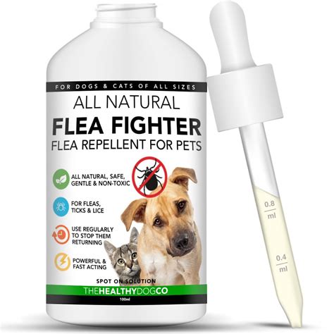 Flea control measures