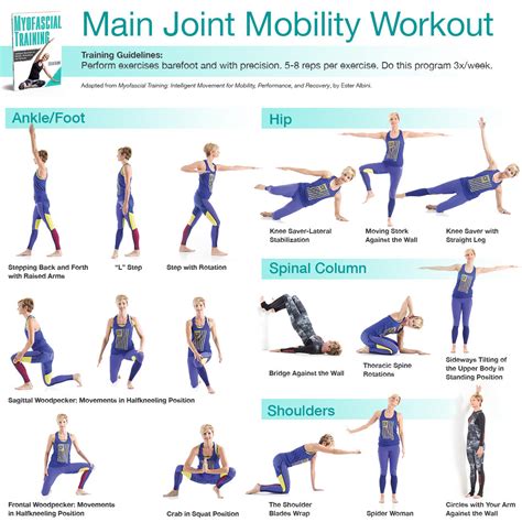 Flexibility and Mobility Exercises