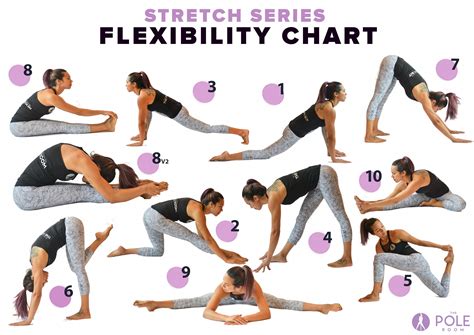 Flexibility exercises for older adults