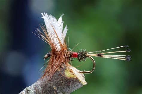 A close-up of a Pheasant Tail Nymph fly