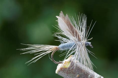 A selection of flies on a fishing hook